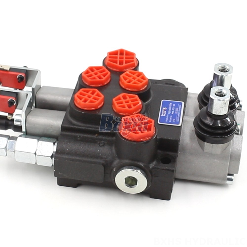 2 Spool Monoblock Directional Valve - P40: Factory Supply & Tailored Solutions main image